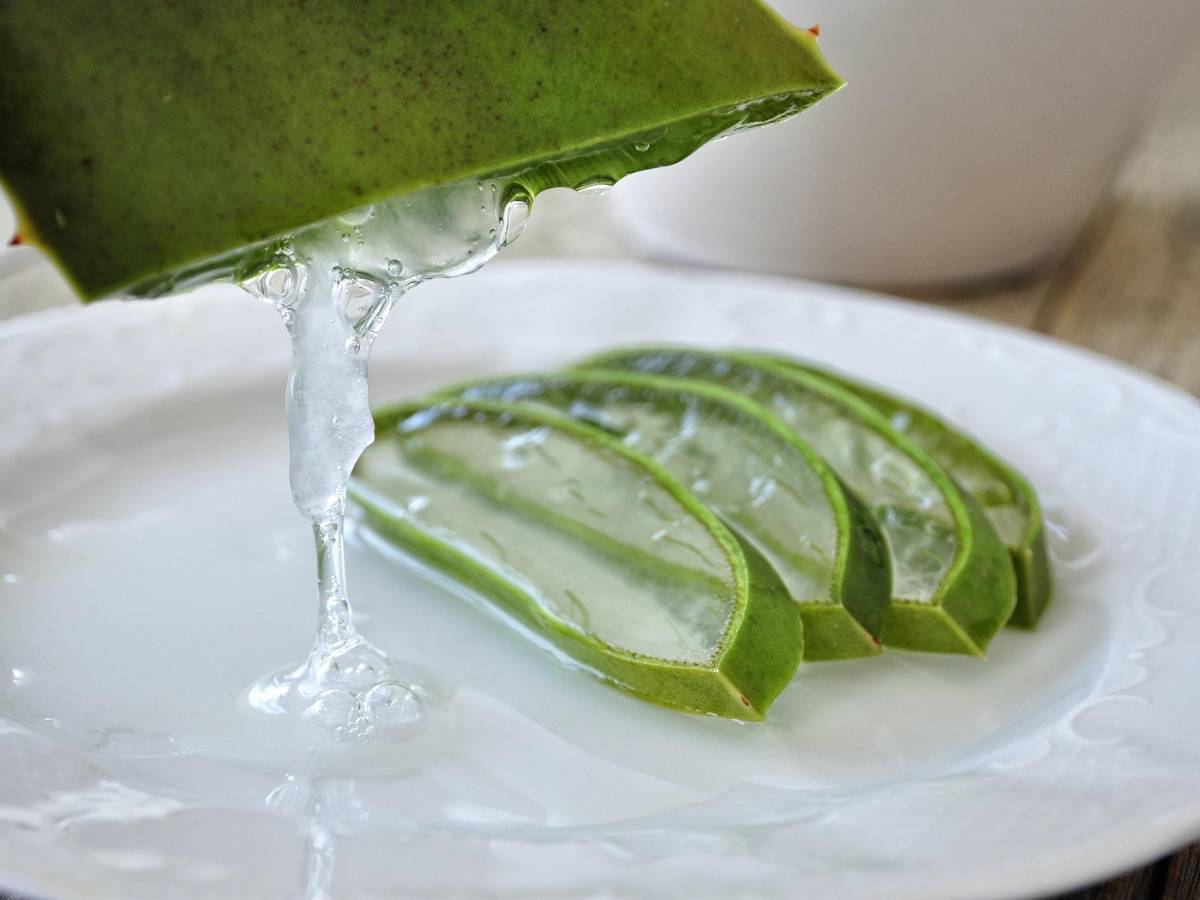 Gel aloe vera